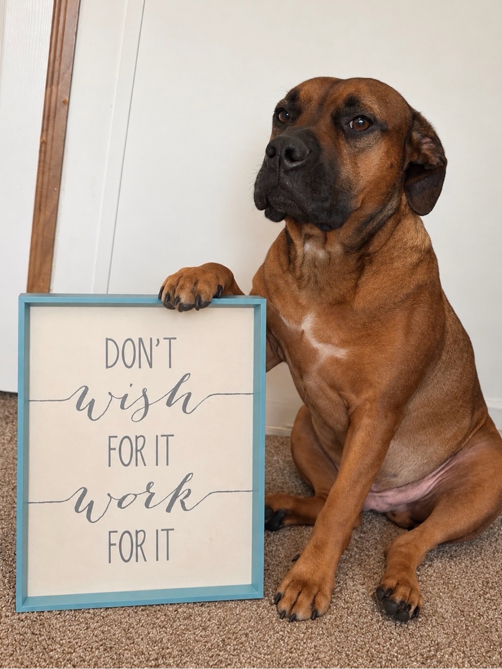Photo Prop Frame in Teal